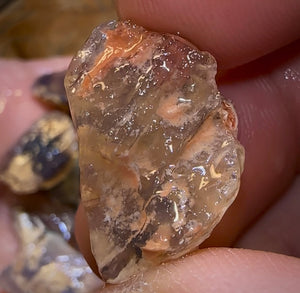 200.8cts - 29x Lightning Ridge Fossil Replacement Opal Rough Parcel Under $2/Ct - Opal Whisperers