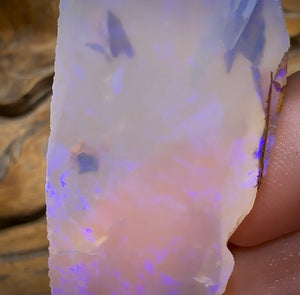 (Template) 80.6cts - Large Queensland Boulder Crystal Rub. Australian Opal - Opal Whisperers