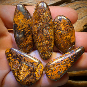 š217.7cts - 5x Australian Tribal Boulder Opalās. Wholesale Dealers Parcel