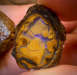 OpalFest Wildcard 40% Off 24.9cts - Yowah Nut Partial Crystal Centre Rough Specimen Pair