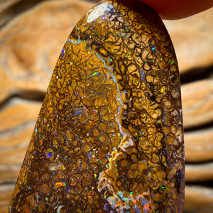 92.1cts - Tan Tribal Yowah Nut Opal. Red Multicolour