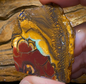 (Template) 296.1cts - Yowah Nut Opal Specimen Rub - Opal Whisperers