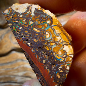 OHNE VIDEO! 203.3cts - Stammes-Yowah-Nuss-Opal-Rohstück