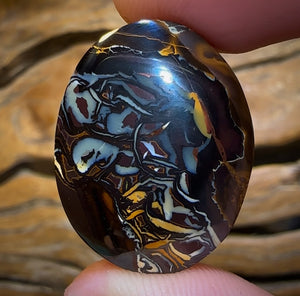 Auction Fall-Through = Your Gain! 🔥 Now More Than 50% Off RRP 🚨 51.8cts - Queensland Boulder Opal from Koroit