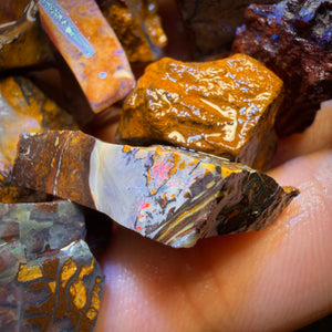 302.1cts - 13x Yowah Nut Rough Opal Parcel. Australian Boulder Opal