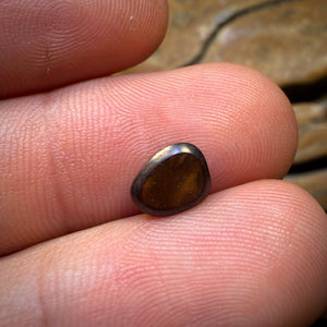 1.6cts - Queensland Boulder Seam Opal. Australian Opal
