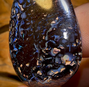 43.3cts - “Celebrity Stone” Double Sided Tribal Yowah Nut Opal. Featured on “Outback Opal Hunters”!