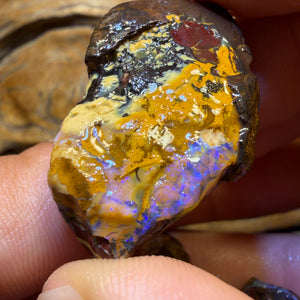 154.2cts - 3x Yowah Nut Rough Opal ParcelWith Crystal Centers