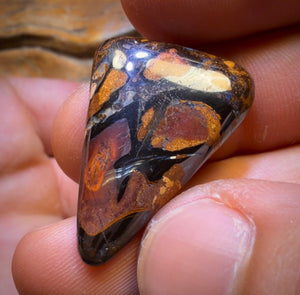 🔒 160.3cts - 5x Australian Tribal Boulder Opal’s. Wholesale Dealers Parcel