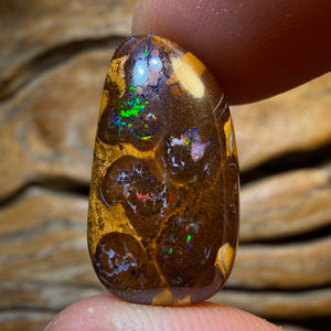 23.7cts - Queensland Boulder Opal from Yowah. Red Multicolour