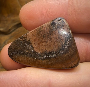 49.1cts - Top Tribal Queensland Boulder Opal. Australian Opal - Opal Whisperers