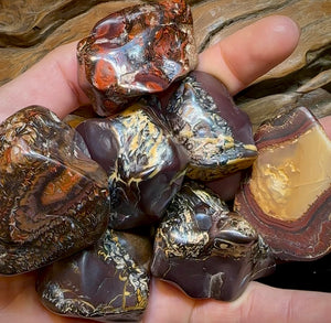 Large Queensland Boulder Opal Baroque Tribal Pattern Specimens - Opal Whisperers