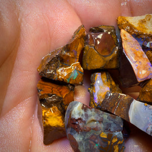 302.1cts - 13x Yowah Nut Rough Opal Parcel. Australian Boulder Opal