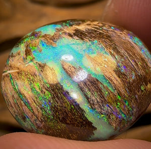 31.4cts - Top Queensland Boulder Wood Fossil Opal. Featured on “Outback Opal Hunters”! Celebrity Stone