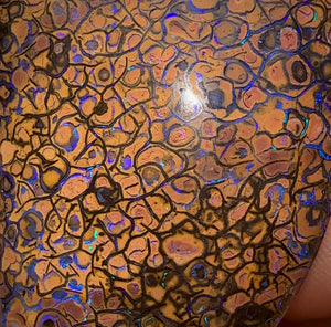 342.7cts - Yowah Nut Opal Specimen Pair. TRIBAL PATTERN - Opal Whisperers