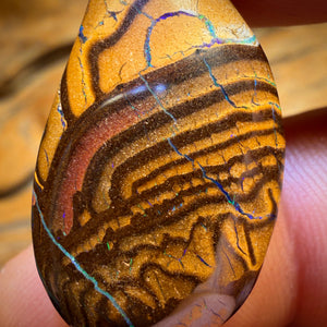 26,5cts - Stammes-Boulderopal aus Queensland, Yowah