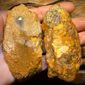 891.5cts - Large RARE Yowah Nut Partial Crystal Centre Rough Specimen Pair