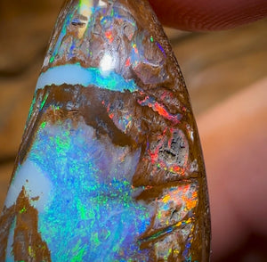 32.5cts - Magnificent Wood Fossil Opal from Yowah - Opal Whisperers
