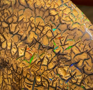 78.5cts - Intricate Tribal Pattern Yowah Nut Opal Pair - Opal Whisperers