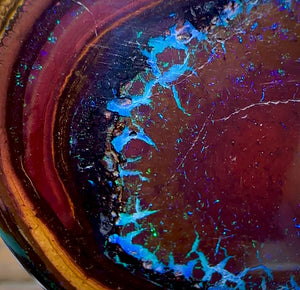 212.3cts - “Mystic Eye”Polished Yowah Nut Opal Specimen - Opal Whisperers