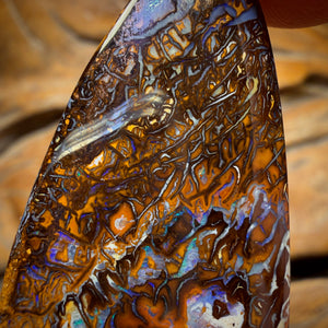51.3cts - Tribal Koroit Nut Opal. Double Sided