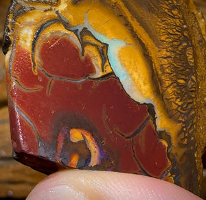 (Template) 296.1cts - Yowah Nut Opal Specimen Rub - Opal Whisperers