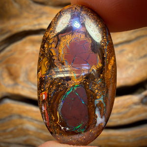 26.7cts - Tribal Queensland Boulder Opal. Australian Opal