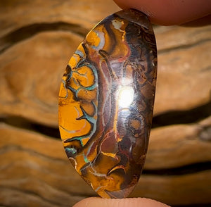 16.1cts - Top Tan Tribal Queensland Boulder Opal Art of Opal Worthy…I Love It