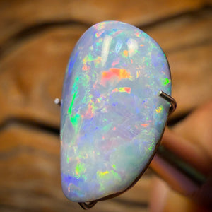 7.5cts - Rare Fossil Shell Australian Opal Doublet