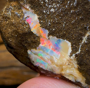 170.3cts - Australian Boulder Opal Rough Piece. Natural Split - Opal Whisperers