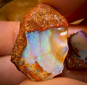 33.7cts - 3x Queensland Boulder Pipe Opal Rough Pieces