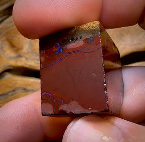 171.2cts - Tribal Queensland Boulder Opal Rough Piece from Koroit