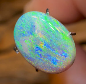 2.2cts - Australian Dark Opal “Bean” from Lightning Ridge - Opal Whisperers