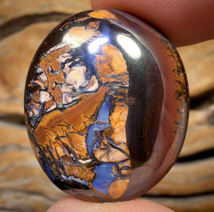51.1cts - Tribal Yowah Nut Opal. Australian Opal BARGAIN