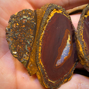 428cts - RARE Yowah Nut Crystal Centre Rough Specimen Pair