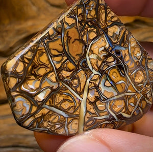 113.1cts - Top Tribal Magic Koroit Nut Australian Opal. - Opal Whisperers