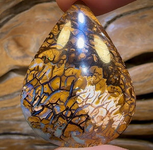 61.9cts - Tribal Yowah Nut Opal. Australian Opal