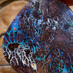 77.3cts - Tribal Queensland Boulder Opal from Yowah