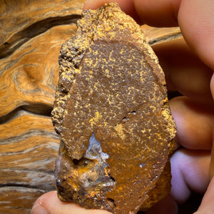 919cts – Queensland Boulder Seam Opal Rohstück