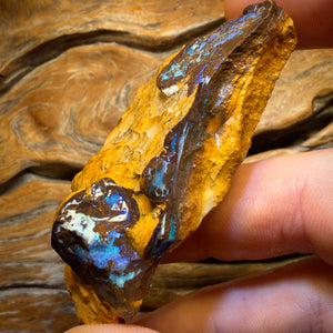 285cts - Yowah Opal Rough Piece. Biscuit Band