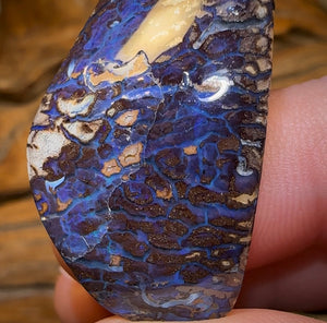41.1cts - Koroit Nut Opal. Australian Opal - Opal Whisperers