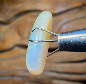 3.6cts - Queensland Boulder Crystal Opal from Winton - Opal Whisperers