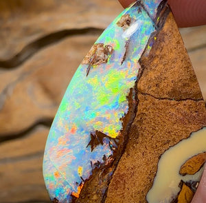 (Template) 24.1cts - Top Australian Boulder Wood Fossil Opal. Rare Cathedral Pattern - Opal Whisperers