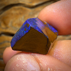 27.7cts - Queensland Boulder Seam Opal Rub