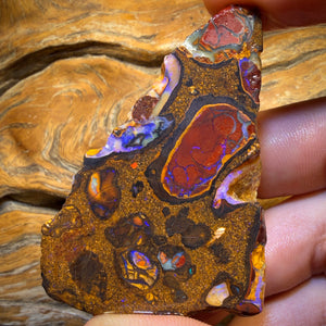 299.1cts - Yowah Nut Conglomerate Rough Piece. Featured On ‘OUTBACK OPAL HUNTERS’!!