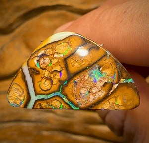 20.8cts - Yowah Nut Tribal Opal Picture Stone