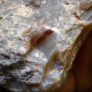 2061cts - HUGE Lightning Ridge Potch Opal Rough Piece 10c/ct