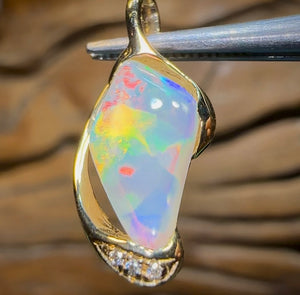 18k Gold - Pippy Shell Opal Fossil Pendant - Opal Whisperers