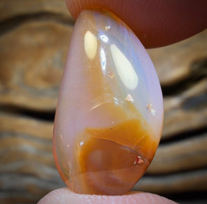 9.1cts - Honey Shell Queensland Boulder Seam Opal