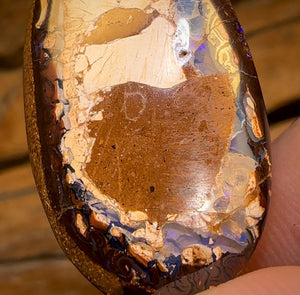31.7cts - Yowah Nut Kernel Opal. Australian Boulder Opal